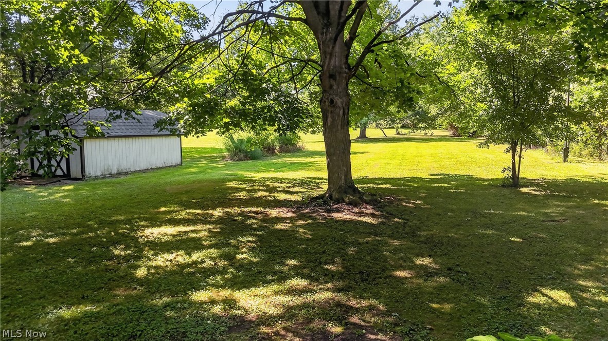 120 Coulter Street Creston OH 44217