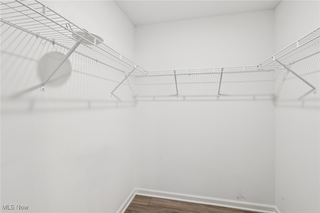 8839 Leatherleaf Drive Columbia Station OH 44028