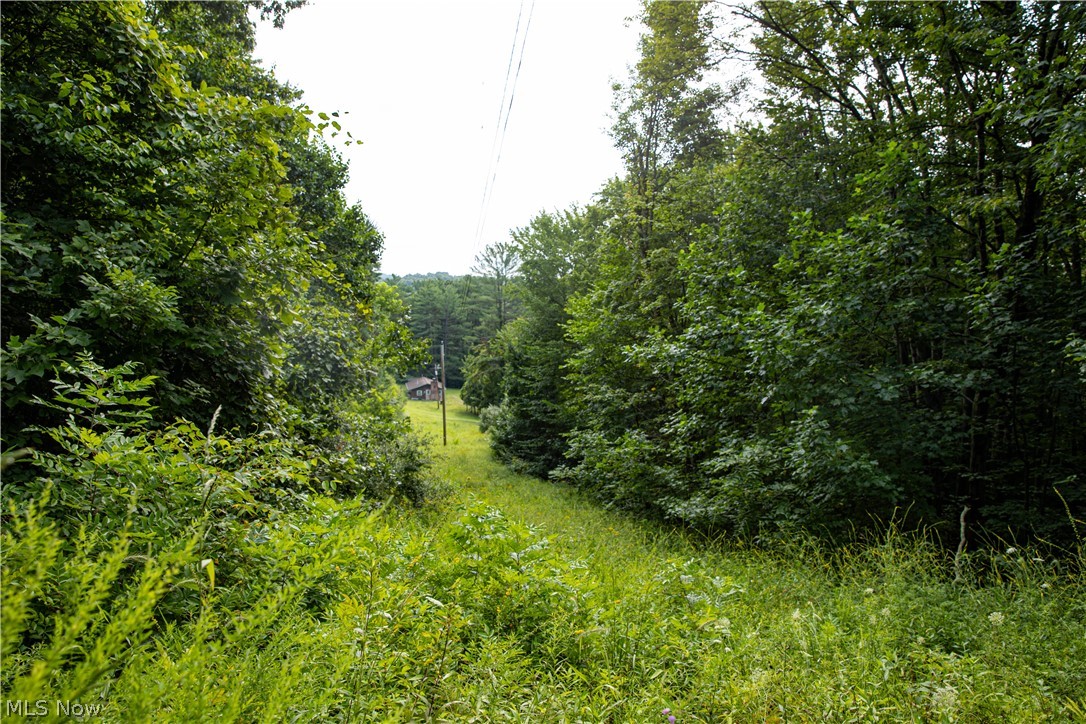 11005 Crawford Lane New Concord OH 43762