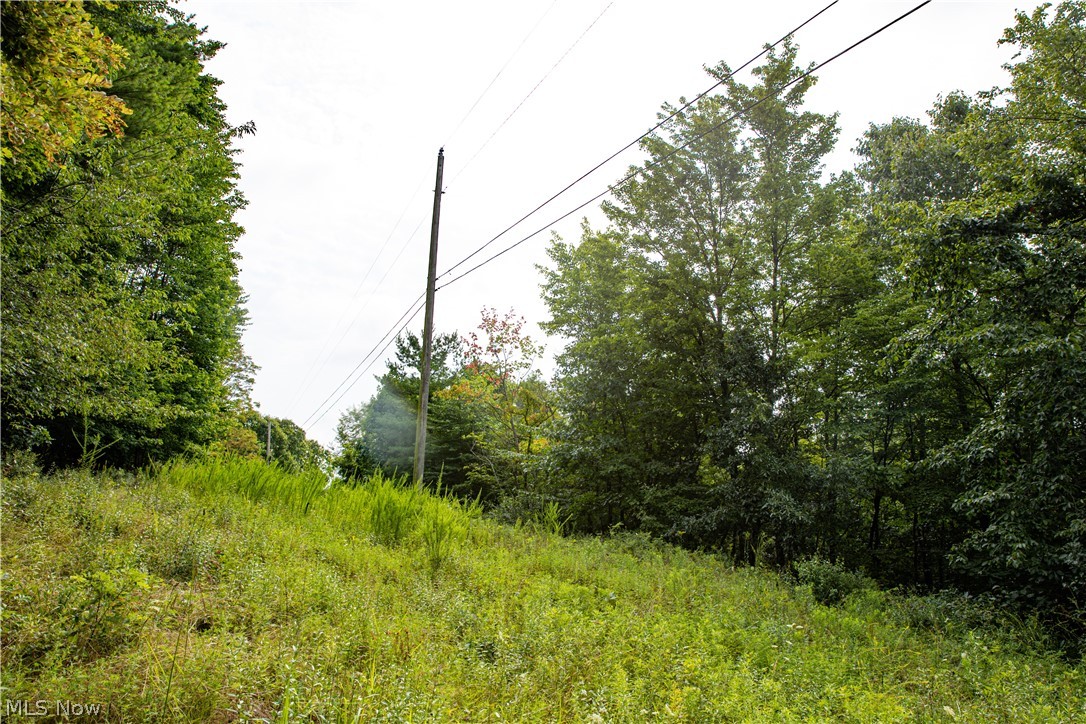 11005 Crawford Lane New Concord OH 43762