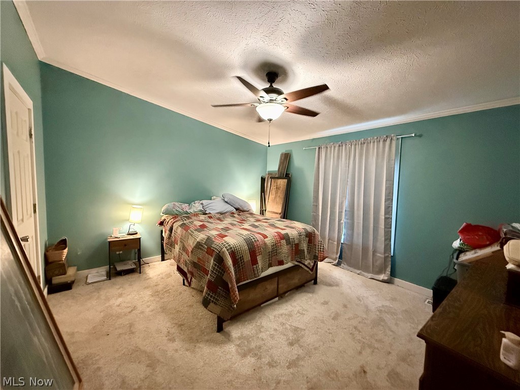35279 State Route 800 Sardis OH 43946
