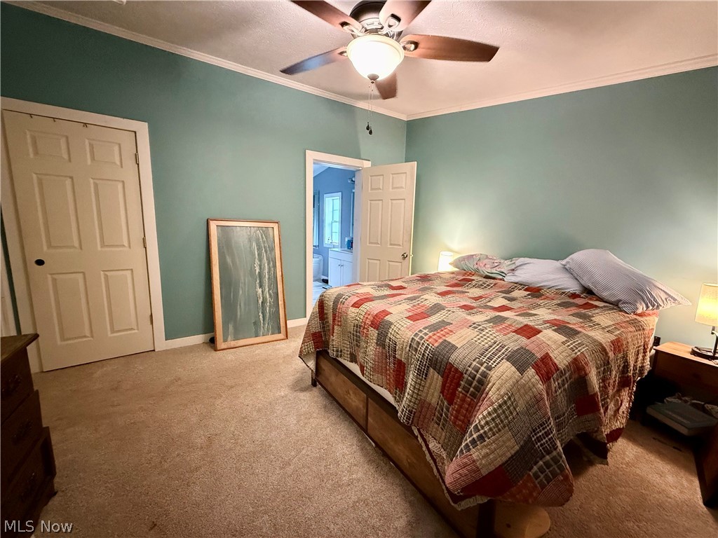35279 State Route 800 Sardis OH 43946