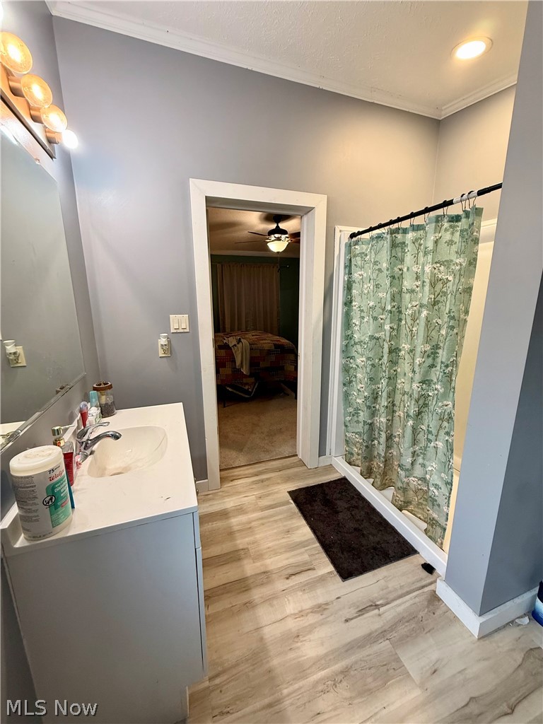 35279 State Route 800 Sardis OH 43946