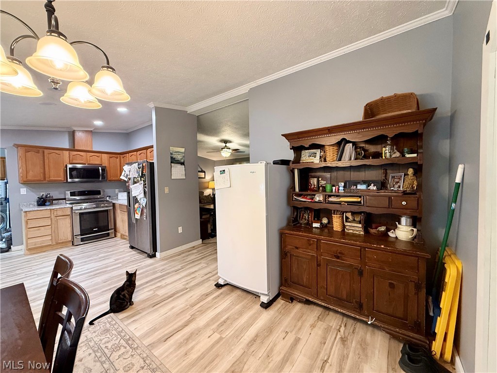 35279 State Route 800 Sardis OH 43946
