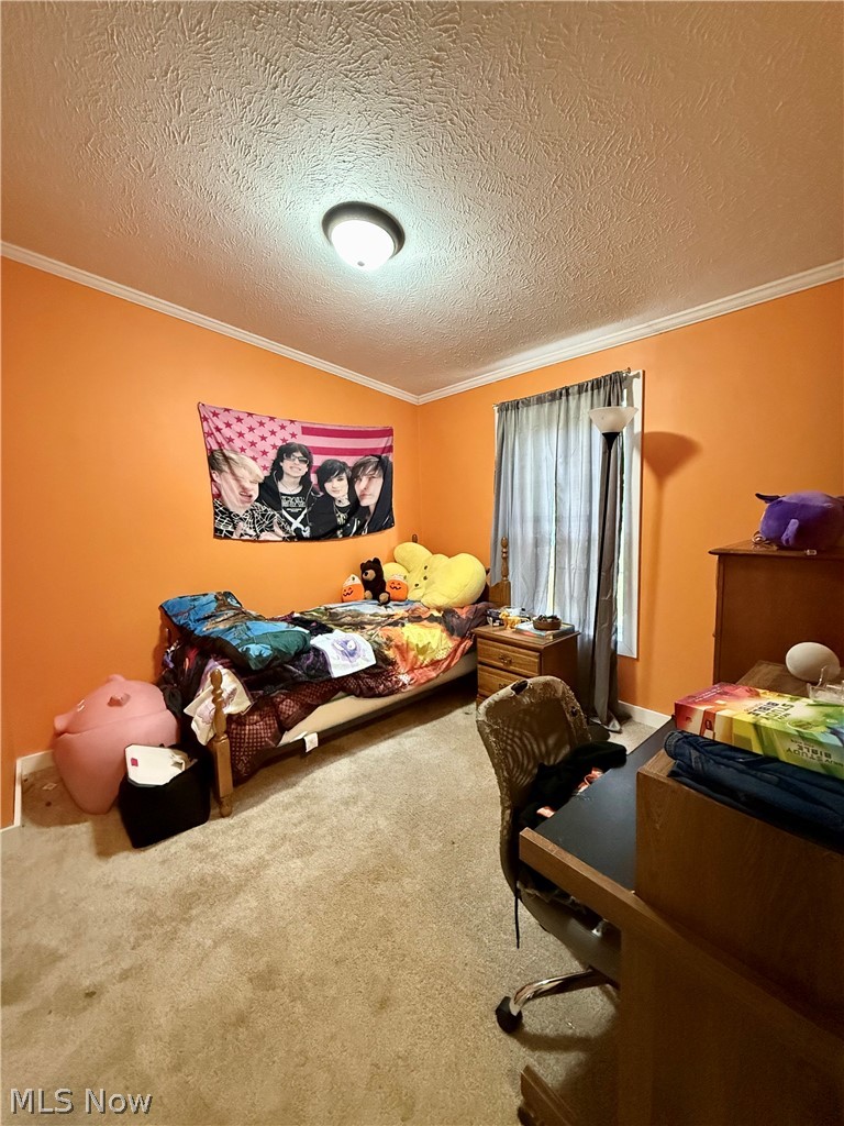 35279 State Route 800 Sardis OH 43946