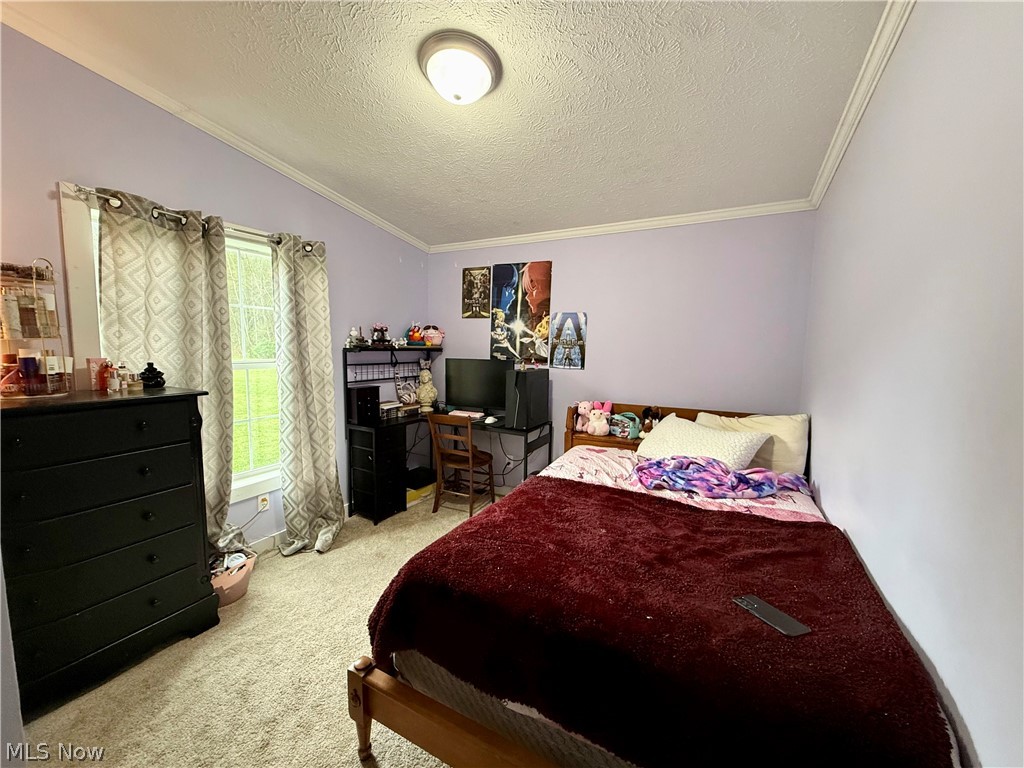 35279 State Route 800 Sardis OH 43946