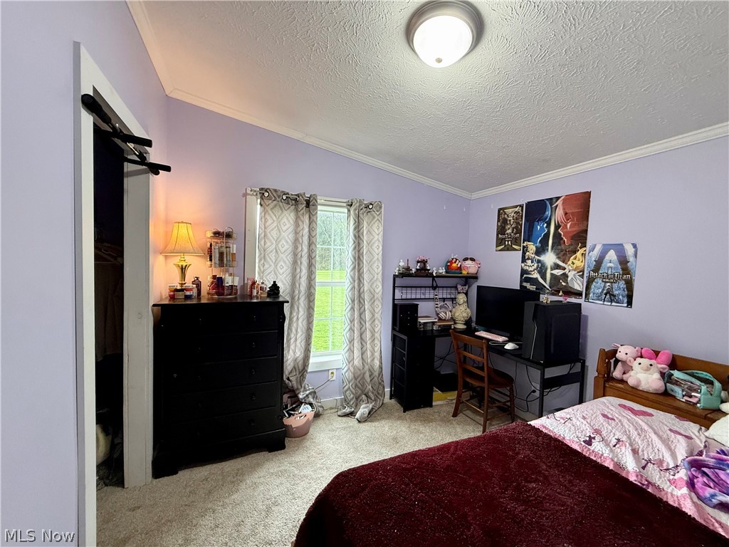 35279 State Route 800 Sardis OH 43946