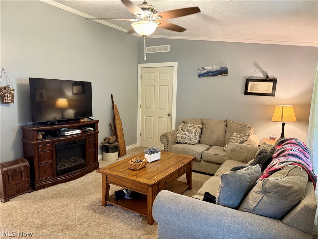 35279 State Route 800 Sardis OH 43946