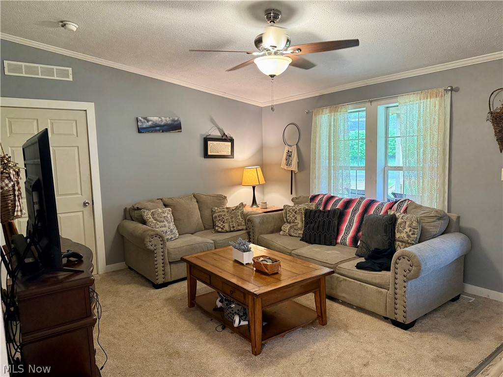 35279 State Route 800 Sardis OH 43946