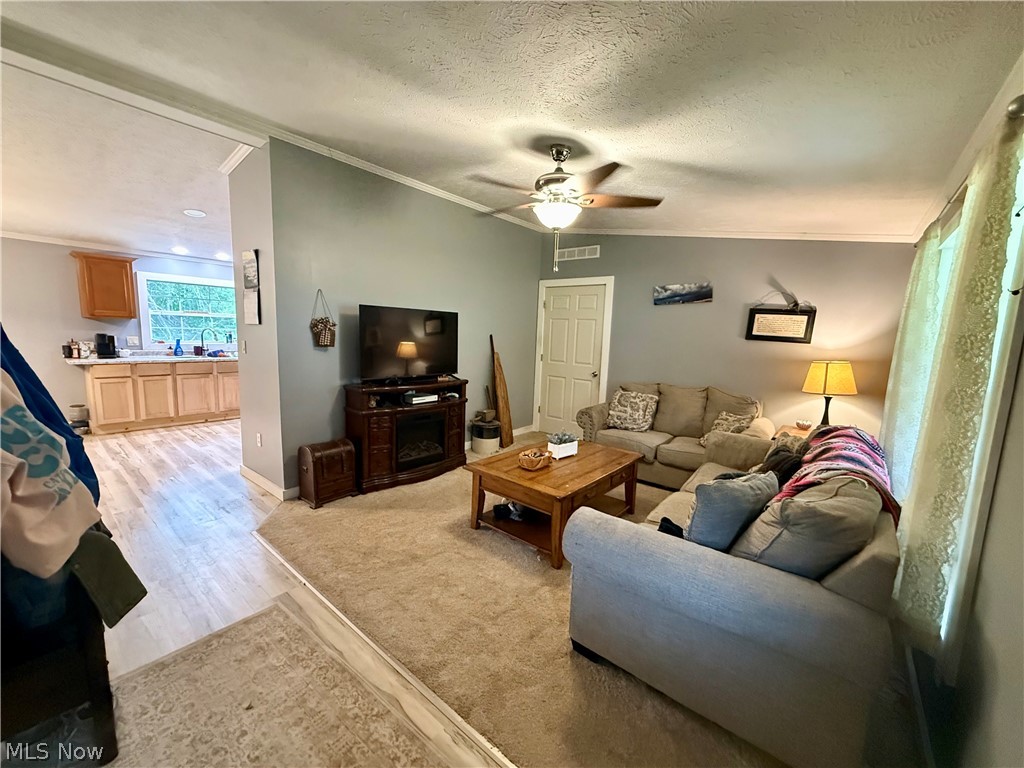 35279 State Route 800 Sardis OH 43946