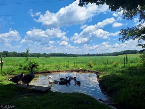 Magnet Road NE Minerva OH 44657