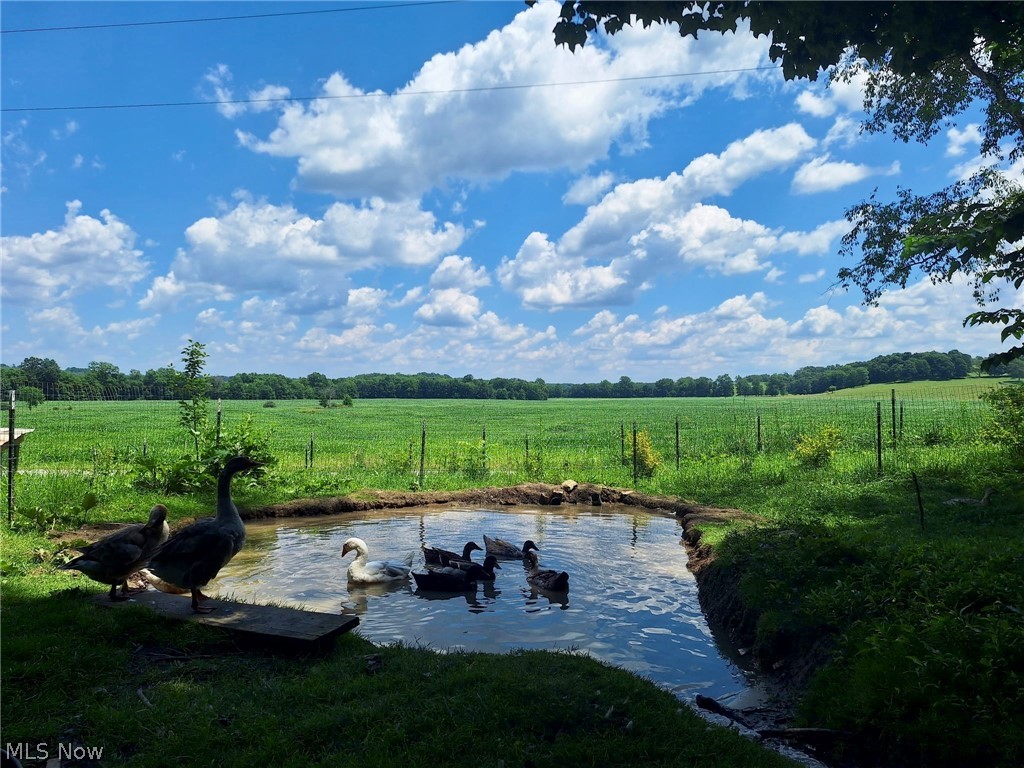 8087 Magnet Road NE Minerva OH 44657