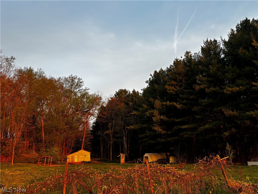8087 Magnet Road NE Minerva OH 44657