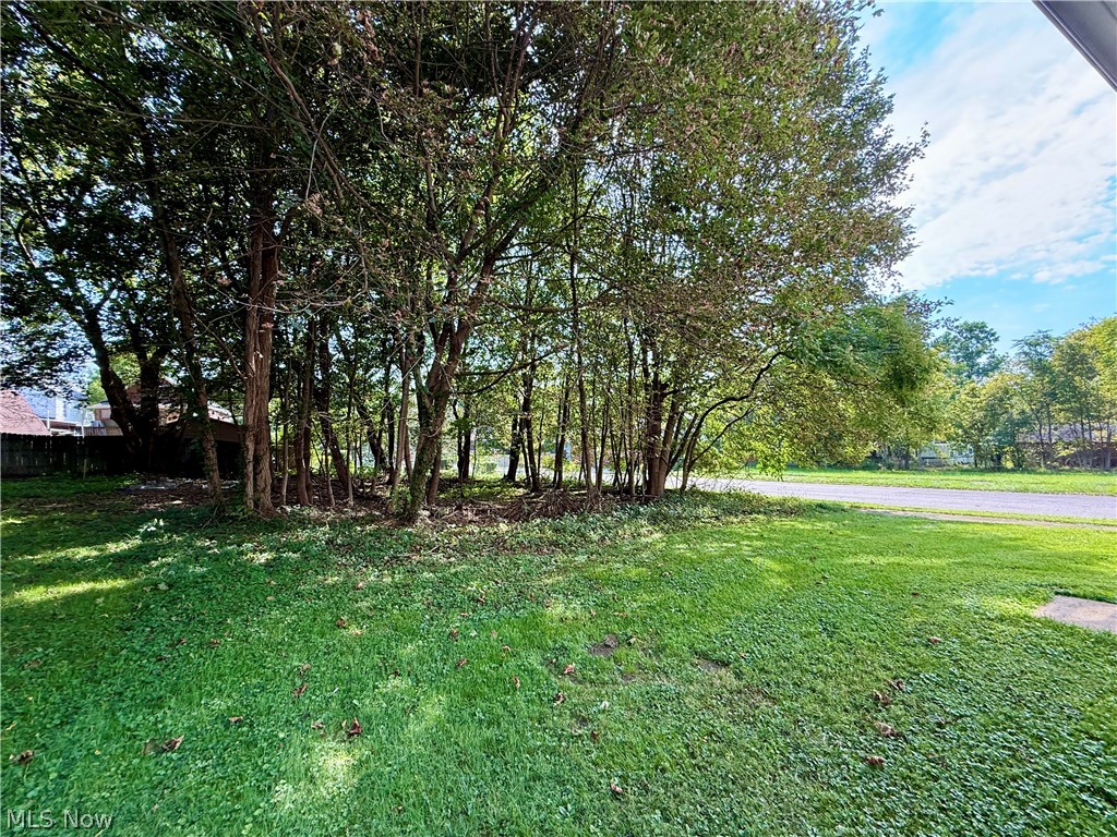241 Reed Avenue Campbell OH 44405