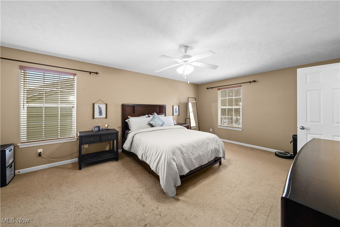 3209 Fenmore Lane Aurora OH 44202