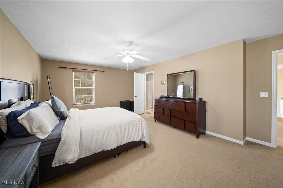 3209 Fenmore Lane Aurora OH 44202