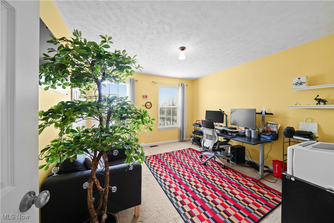 3209 Fenmore Lane Aurora OH 44202