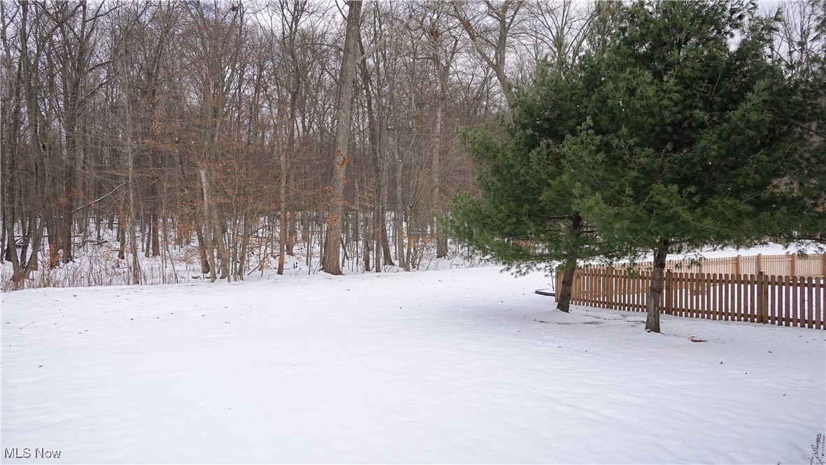 3209 Fenmore Lane Aurora OH 44202