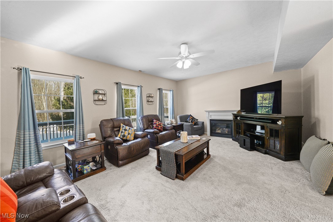 3209 Fenmore Lane Aurora OH 44202