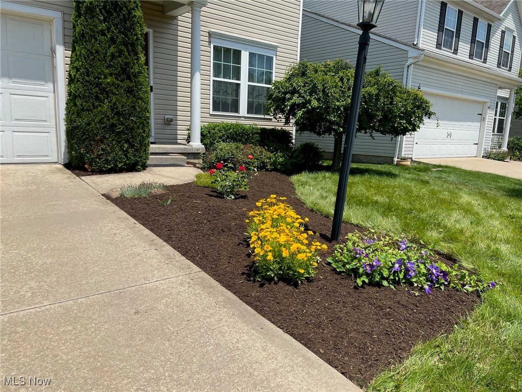 3209 Fenmore Lane Aurora OH 44202