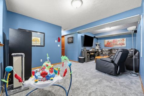 1719 Wilson Road Akron OH 44312