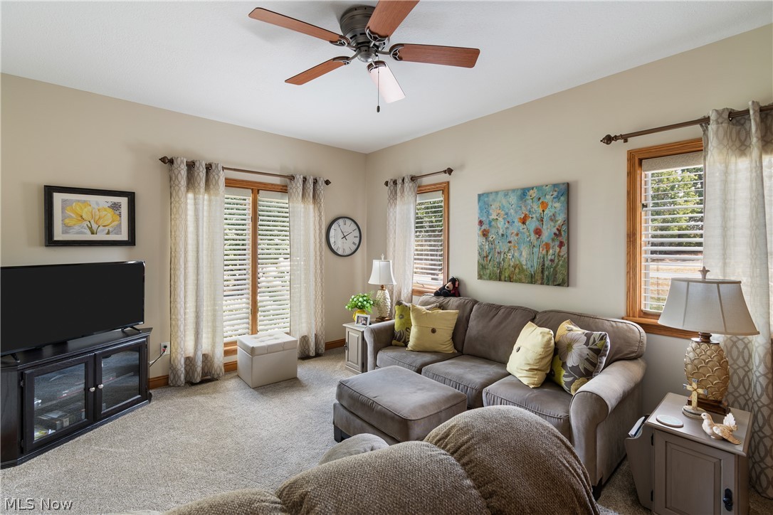 3896 Edison Street NE Hartville OH 44632