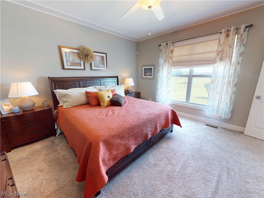 13605 Carrington Drive Grafton OH 44044