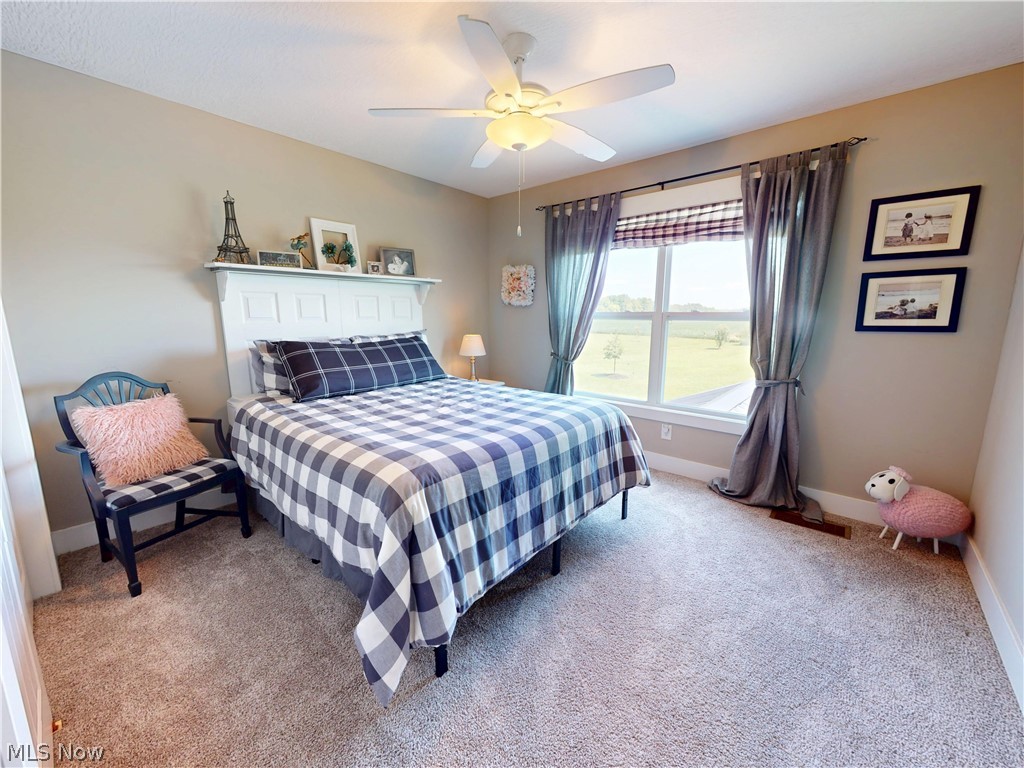 13605 Carrington Drive Grafton OH 44044
