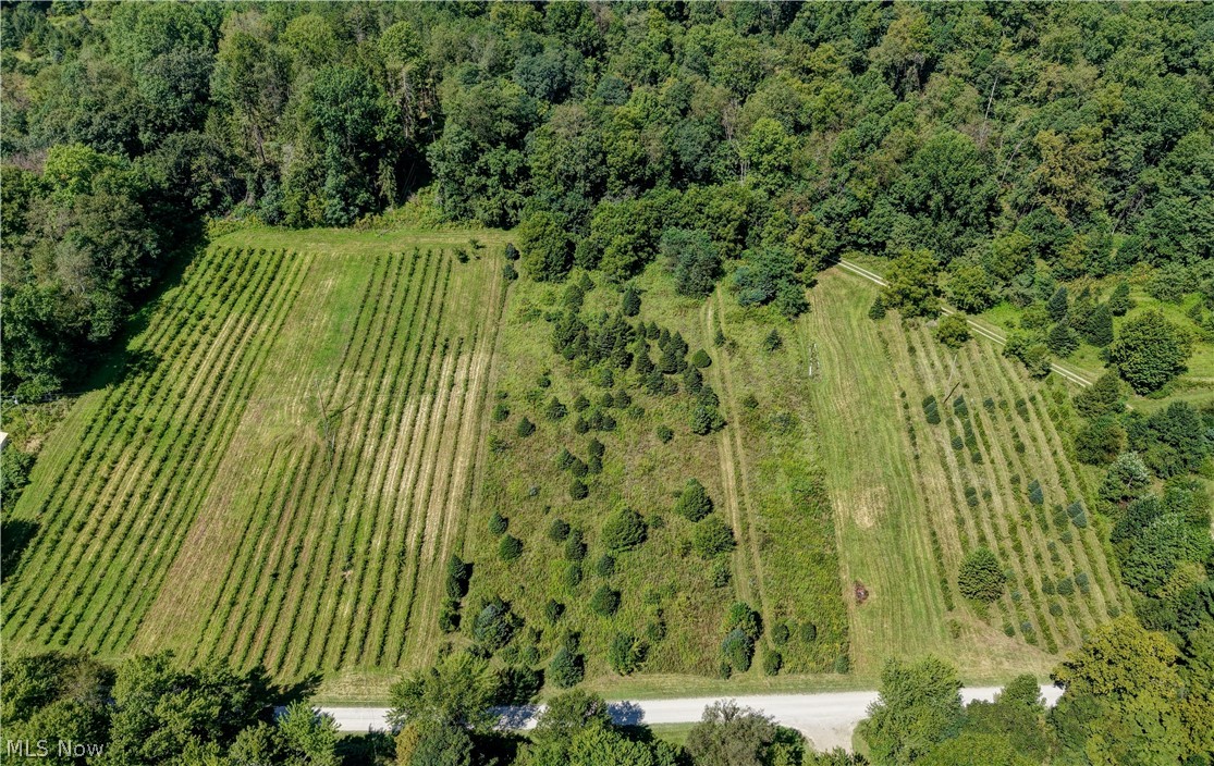 33111 Township Road 490 Killbuck OH 44637