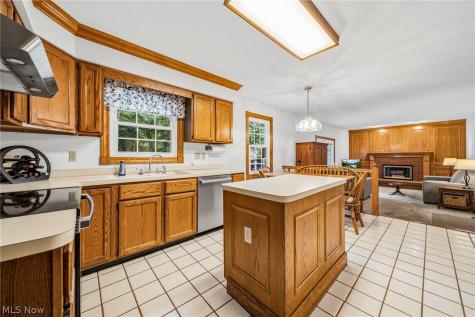 7700 Snowberry Court Mentor OH 44060