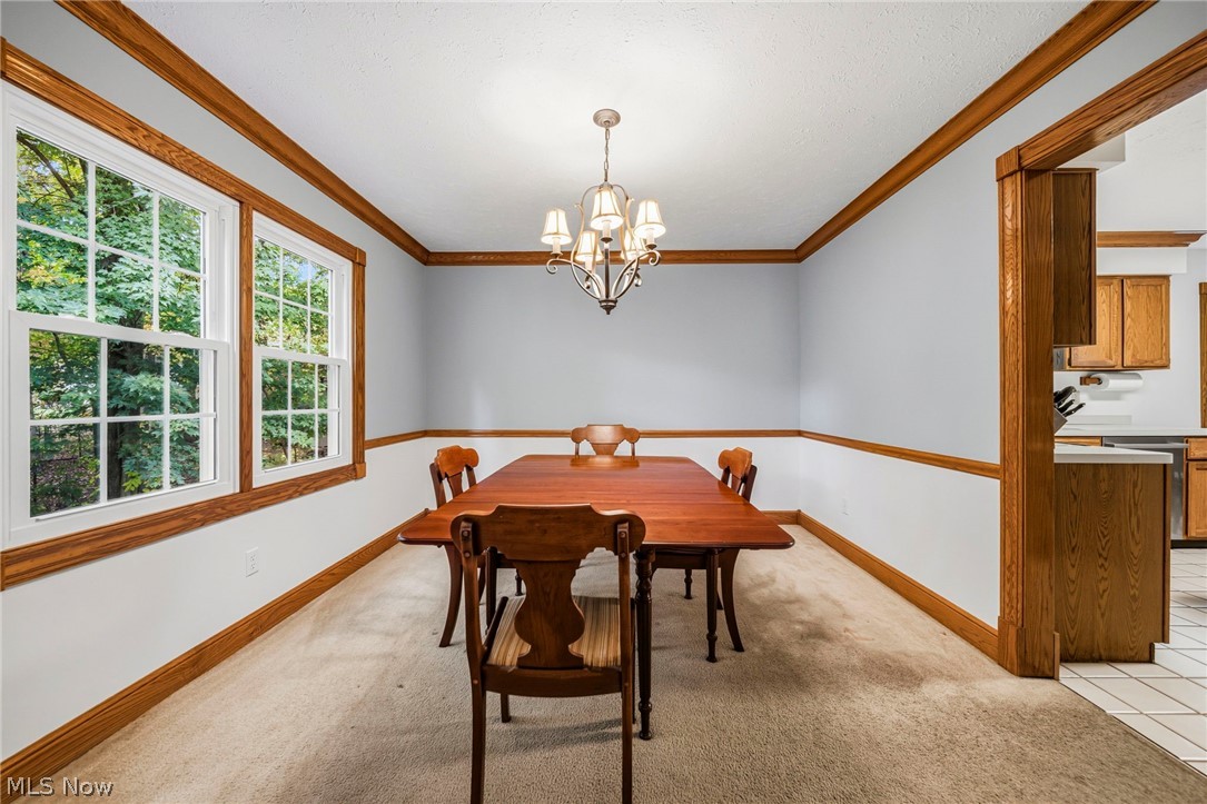 7700 Snowberry Court Mentor OH 44060