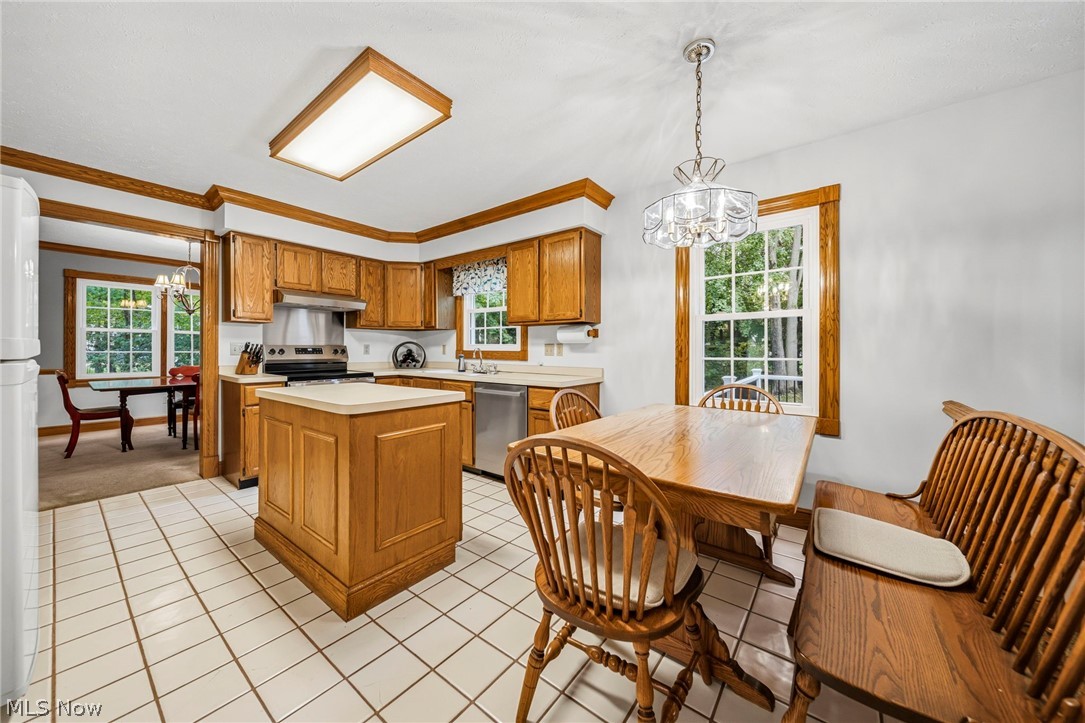 7700 Snowberry Court Mentor OH 44060