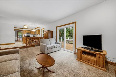 7700 Snowberry Court Mentor OH 44060