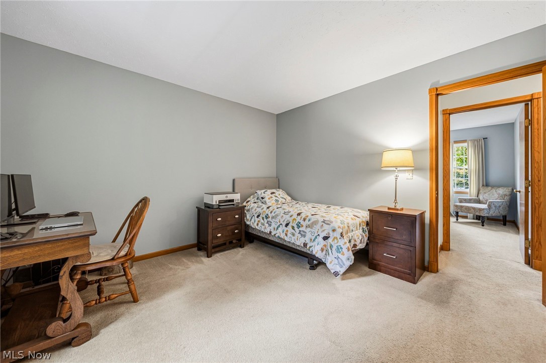 7700 Snowberry Court Mentor OH 44060