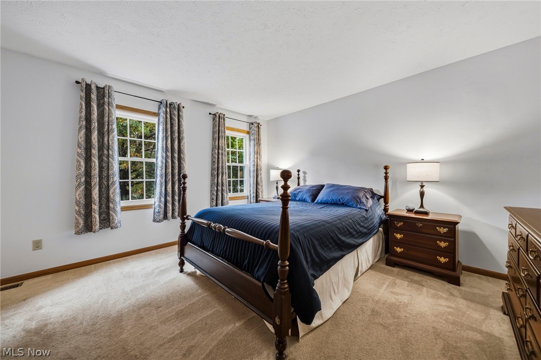 7700 Snowberry Court Mentor OH 44060
