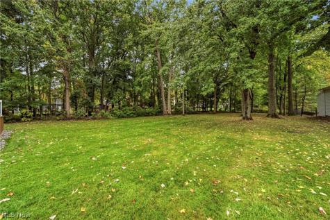 7700 Snowberry Court Mentor OH 44060