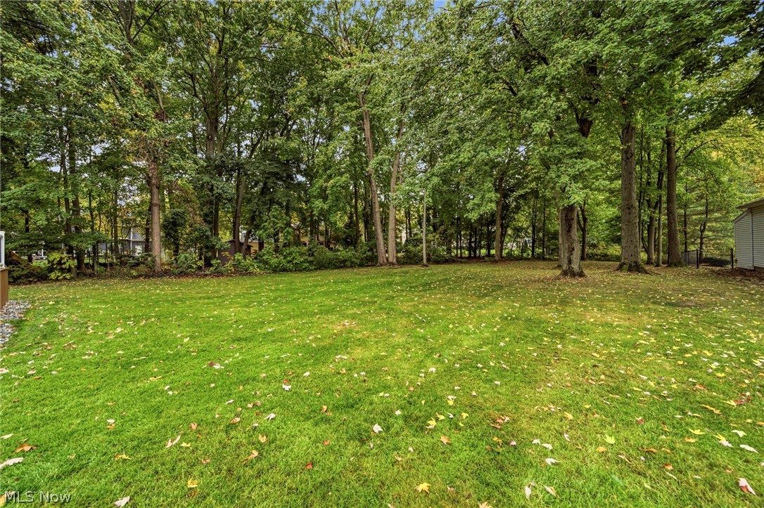 7700 Snowberry Court Mentor OH 44060