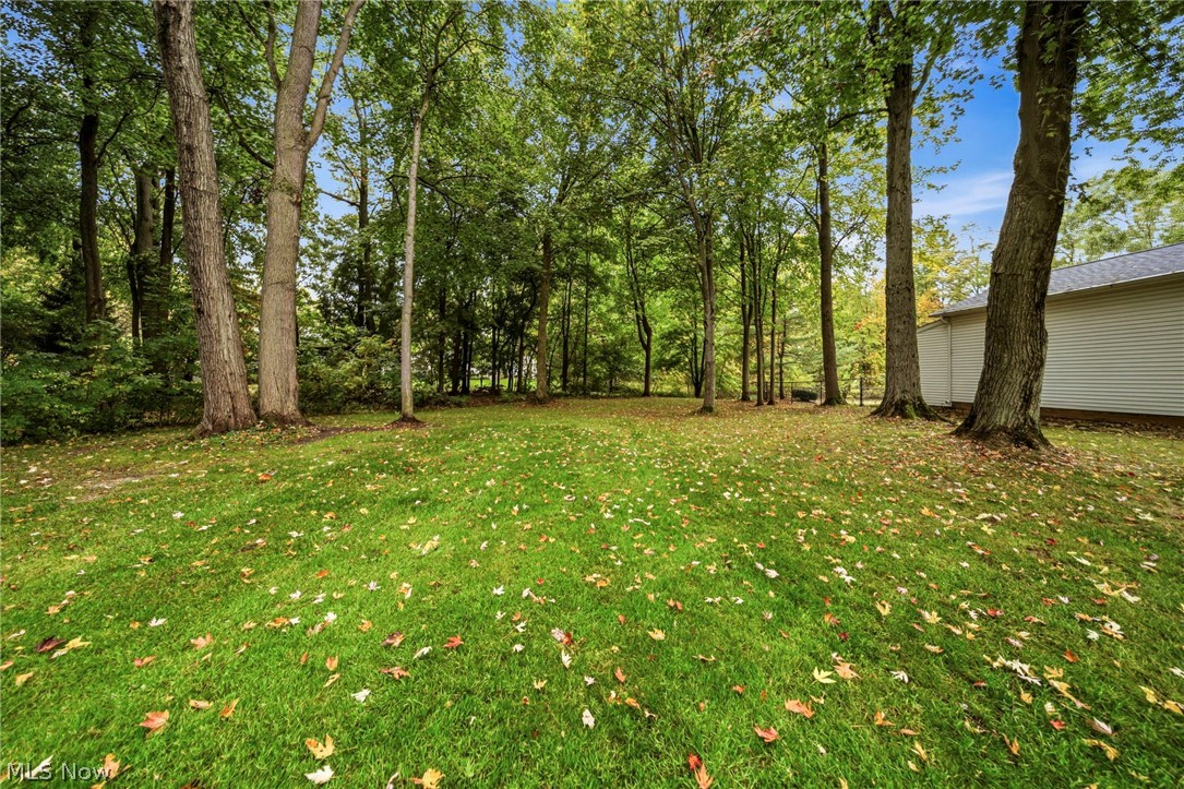 7700 Snowberry Court Mentor OH 44060