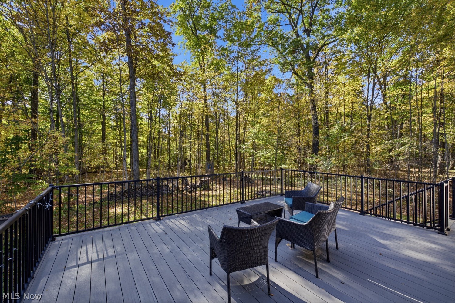 817 Township Road 754 Ashland OH 44805