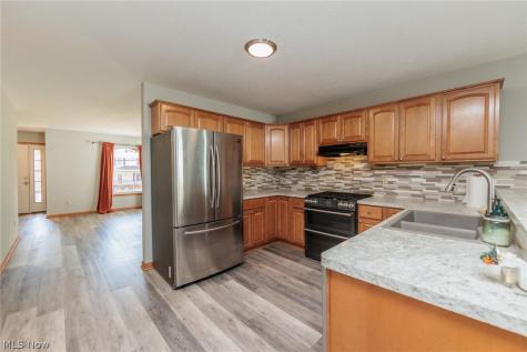 711 Bisson Avenue Akron OH 44307