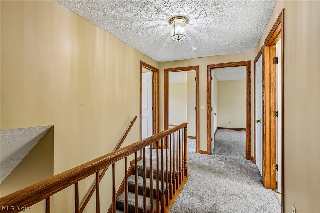 7309 Winchester Drive Solon OH 44139