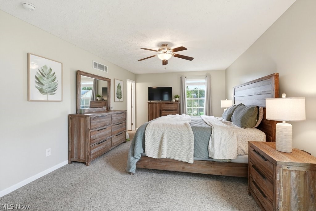 1256 Winter Fern Avenue Akron OH 44312