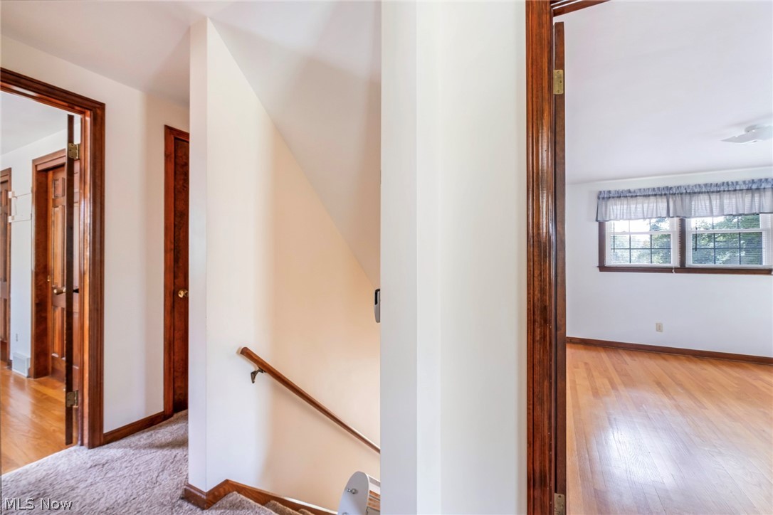4438 Williamsburg Drive Canfield OH 44406