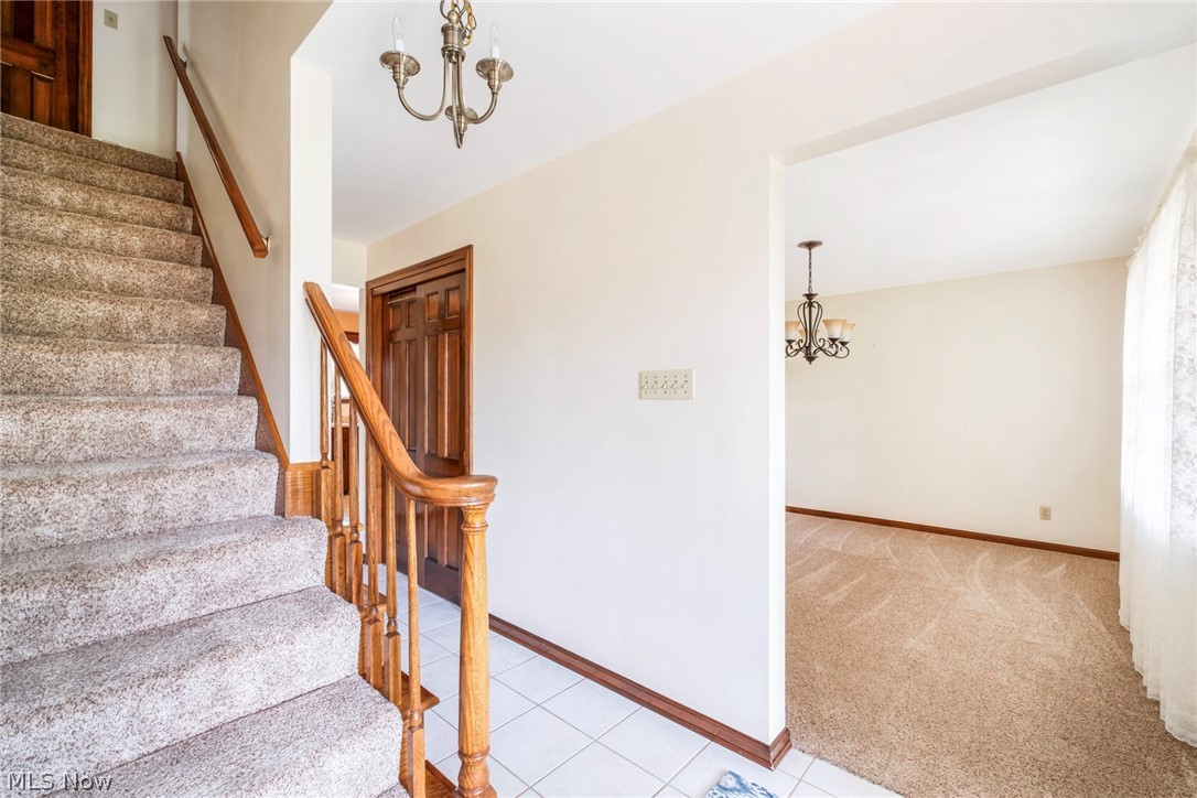 4438 Williamsburg Drive Canfield OH 44406