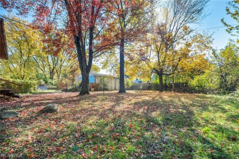 7804 Force Avenue Cleveland OH 44105