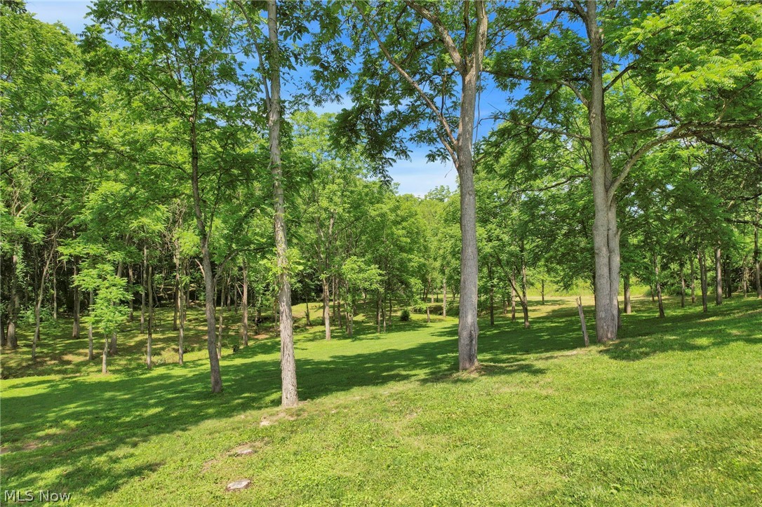 60145 Bliss Road New Concord OH 43762