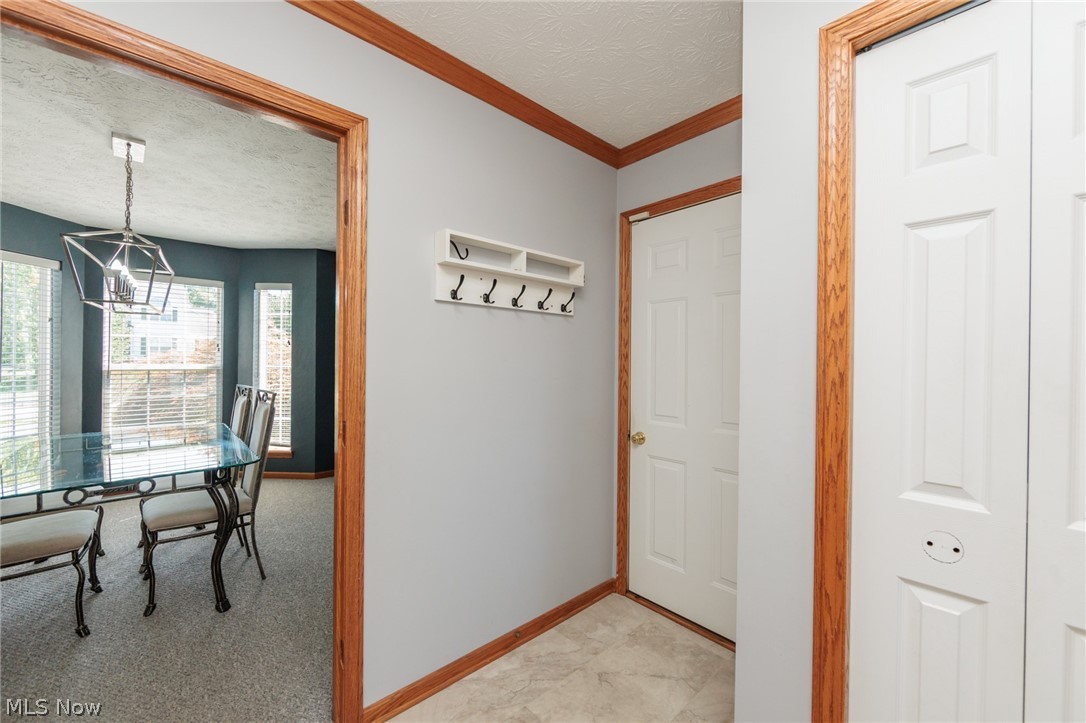 3621 Shelton Lane Brunswick OH 44212