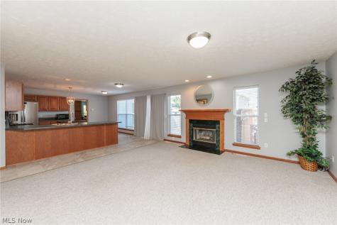 3621 Shelton Lane Brunswick OH 44212