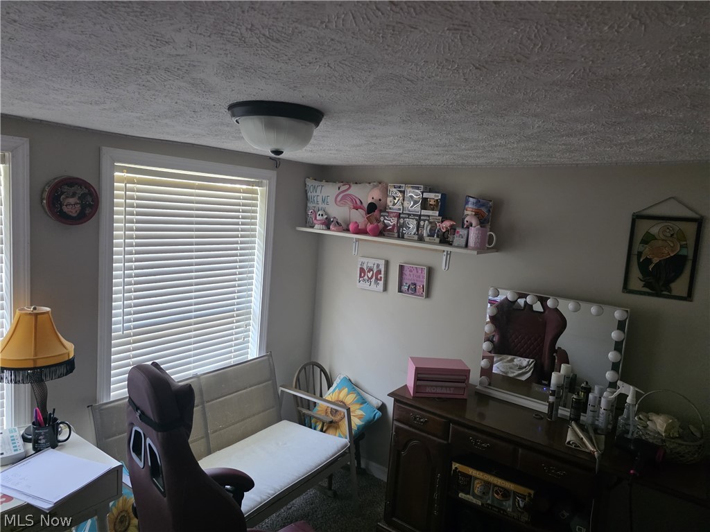 10154 Lady Catherine Court Streetsboro OH 44241