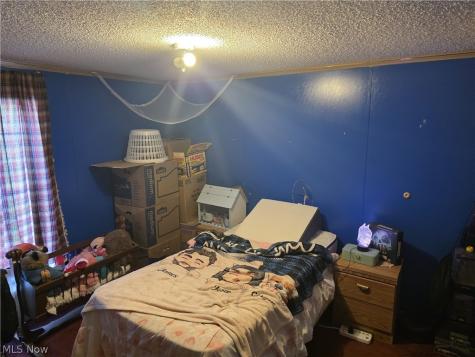 10154 Lady Catherine Court Streetsboro OH 44241
